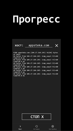 Ping скриншот 2