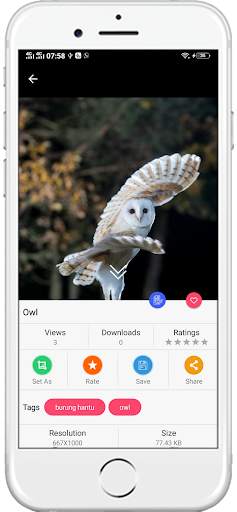 1000+ Birds Wallpapers 4K HD screenshot 5