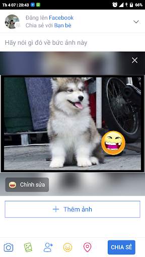 Blur Image Background screenshot 8