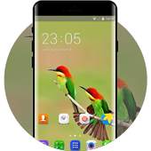 Colorful Birds Theme for Samsung Galaxy Fame Lite 1.0.0