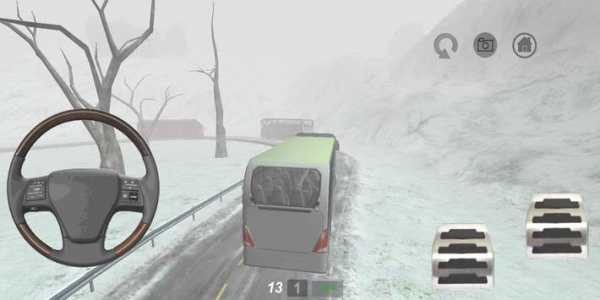 Bus Simulator 2017 3D screenshot 1