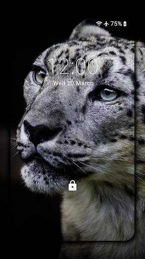 Snow Leopard Wallpaper HD : backgrounds & themes screenshot 3