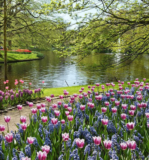 Spring Garden Wallpaper screenshot 15