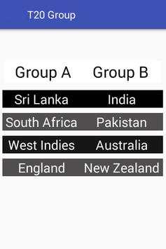 Twenty 20 Cricket World Cup screenshot 4
