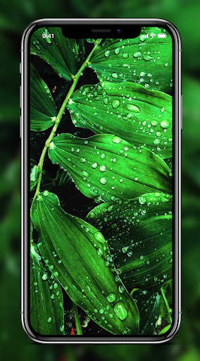 Green Wallpaper screenshot 3