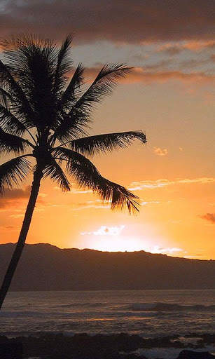 HD Beach Sunset Live Wallpaper screenshot 14