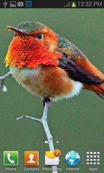 Beautiful Bird Live Wallpaper screenshot 2