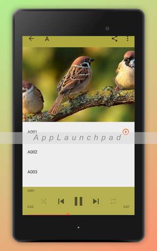 Bird Songs Ringtones screenshot 9