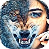 Photo Lab Picture Editor 1.1