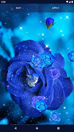 Blue Rose Live Wallpaper 3D 7 تصوير الشاشة