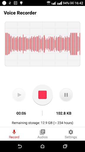 Voice Recorder & MP3 Recorder screenshot 1