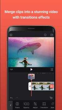 VideoLeep screenshot 1