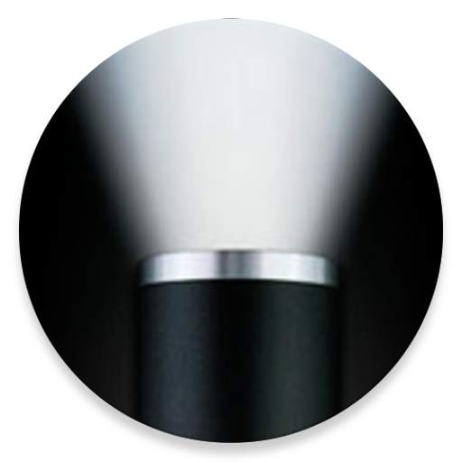 Torch Light 3