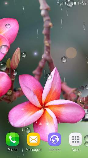 Tropical Flower Live Wallpaper screenshot 3