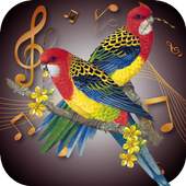 Bird Ringtones 1.0