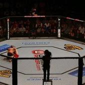 MMA News icon