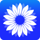 Gallery 2020 icon