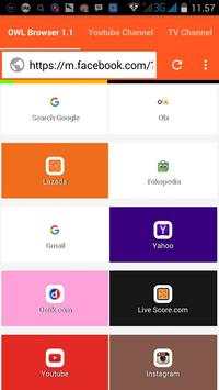 OWL Browser screenshot 1