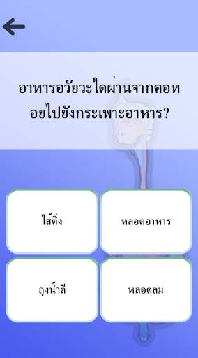 กายวิภาคศาสตร์ screenshot 5