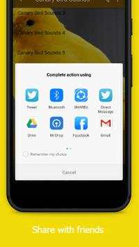 Canary Bird Sounds screenshot 4