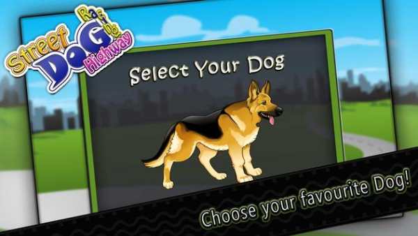 Dog Racing: Crazy Race Game screenshot 2