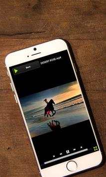 FLV Video Player screenshot 3