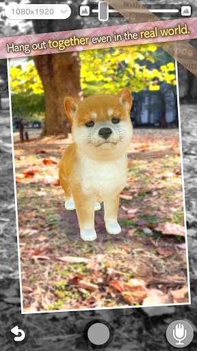with My DOG screenshot 8