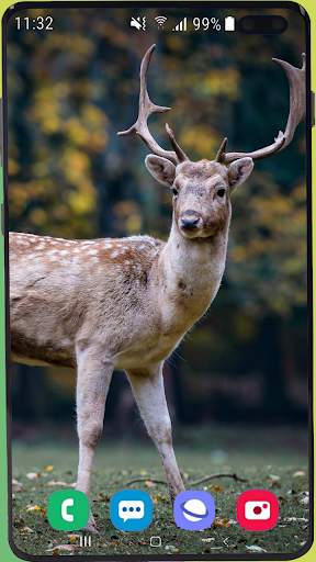 Deer Wallpaper HD screenshot 14
