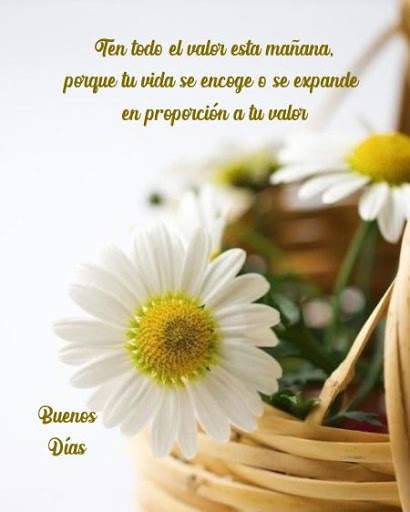 Saludos y Mensajes Positivos स्क्रीनशॉट 8