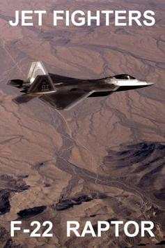 F-22 Raptor FREE screenshot 1