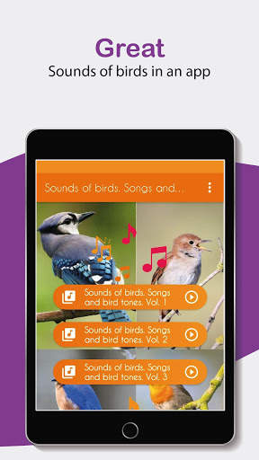 Sounds of birds. Songs and bird tones. screenshot 6