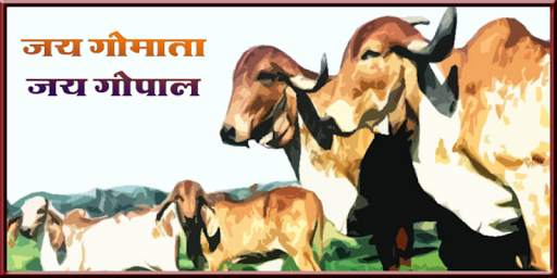 Dhenu TV screenshot 2
