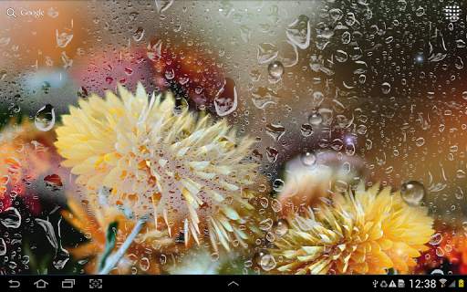 Autumn Flowers Live Wallpaper screenshot 10