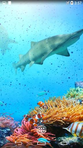 Shark 4K Live Wallpaper screenshot 4