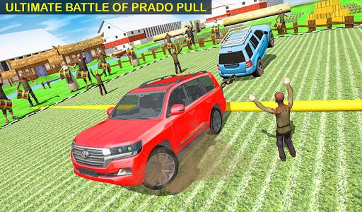 Prado Pull screenshot 5