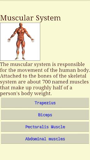 Human Body - Anatomy screenshot 3