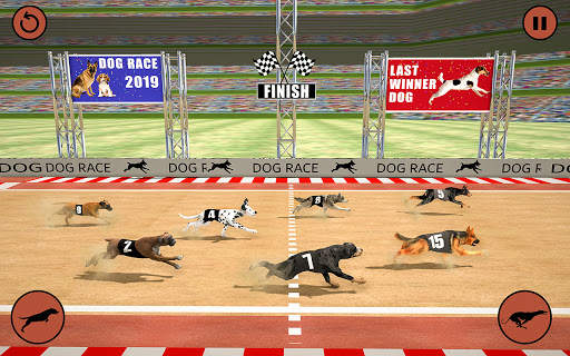 Ultimate Dog Racing: Wild Animal Racing Simulator screenshot 5
