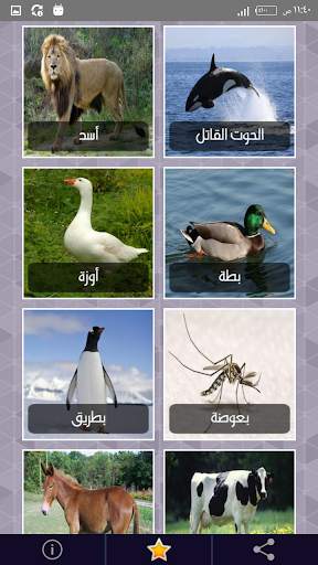 أصوات الحيوانات مع إسم كل صوت باللغة العربية screenshot 2