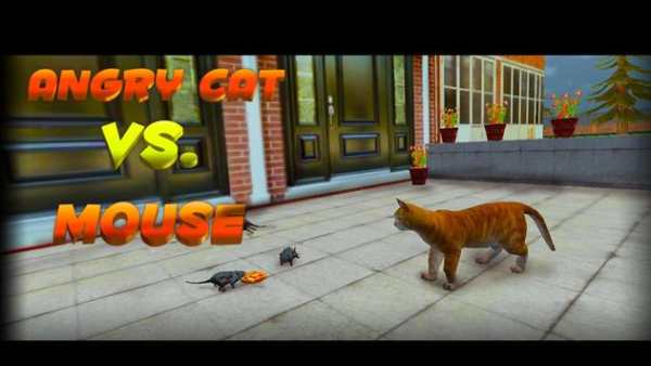 Angry Cat VS Mouse screenshot 1