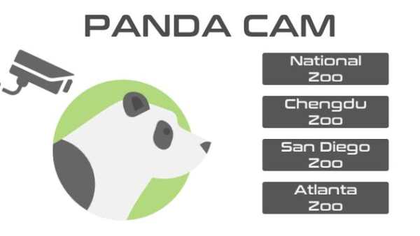 PandaCam screenshot 1