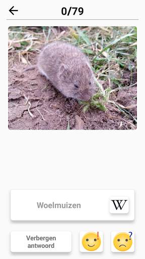Zoogdieren - leer alle dieren in Photo-Quiz! screenshot 7