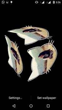 My Photo 3D cube Live WP screenshot 5