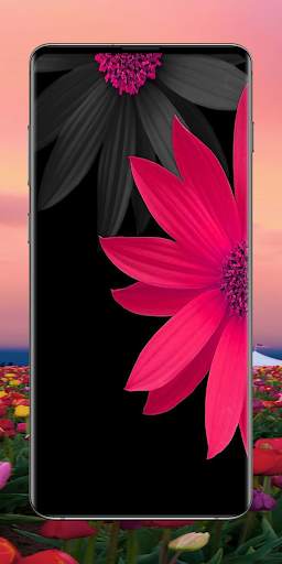 Flower Wallpapers screenshot 2
