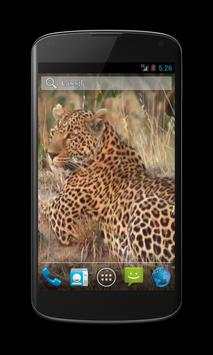 Leopard Free Video Wallpaper screenshot 1
