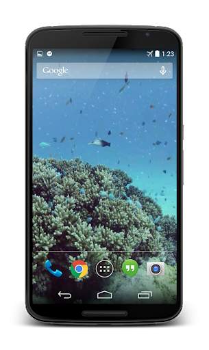 Sea Life Video Live Wallpaper screenshot 3