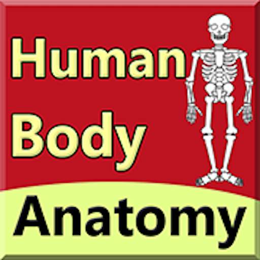 Body Anatomy Guide 6.0