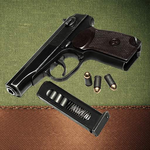 The Makarov pistol 3.01