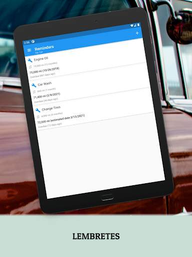 O Meu Carro: Combustível screenshot 14