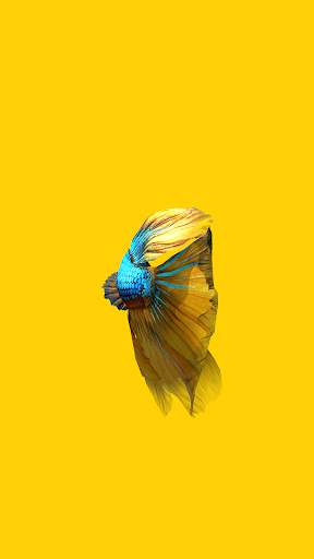 Betta Fish 3D Lite screenshot 6