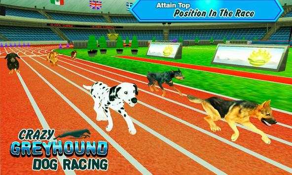 Crazy Greyhound Dog Racing screenshot 3